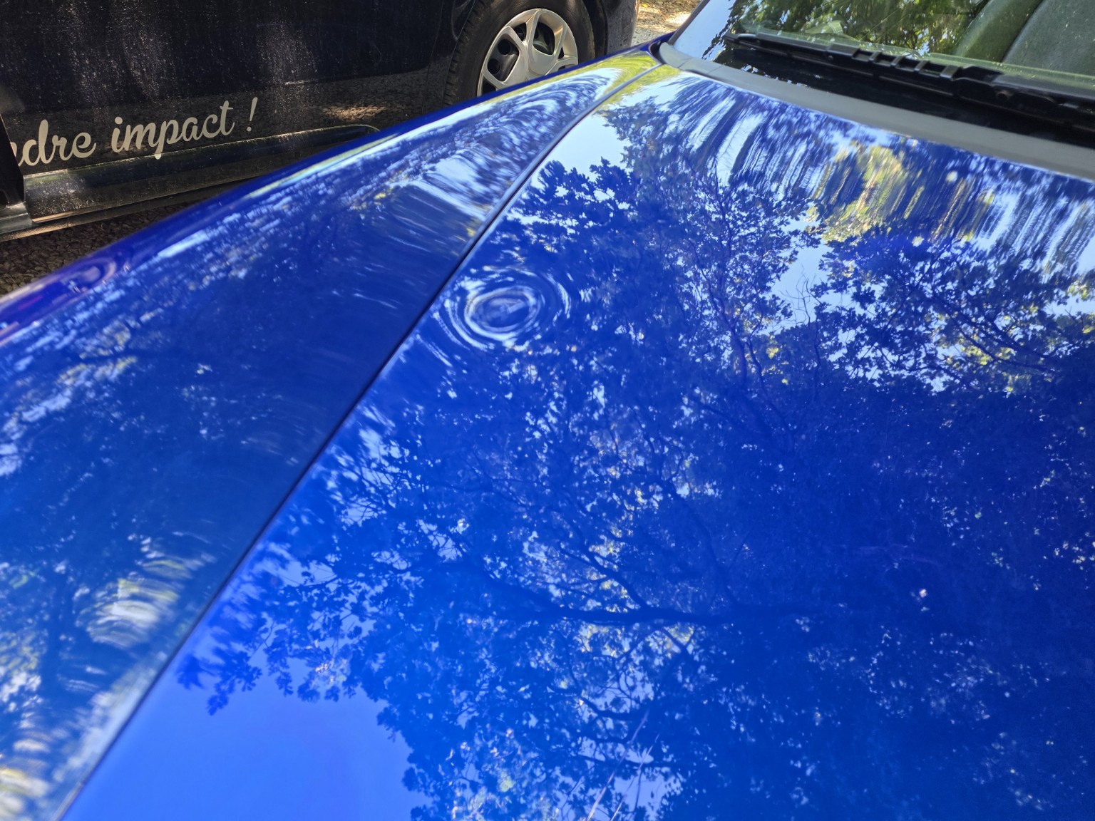 Capot Porsche Boxster avant réparation : déformation circulaire qui brise les reflets des arbres